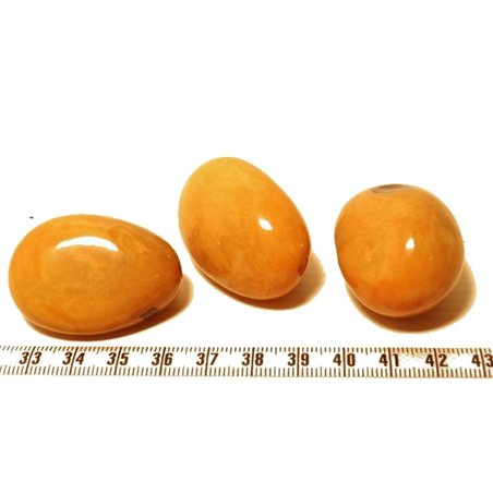 Tagua graine orange x1