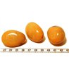 Tagua graine orange x1