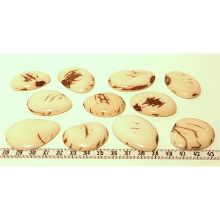 Tagua lame marbrée grande blanc x1