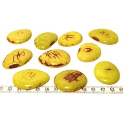 Tagua lame  marbrée grande vert