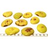 Tagua lame marbrée grande vert x1