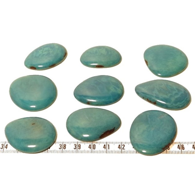 Tagua lame  marbrée  moyenne bleu