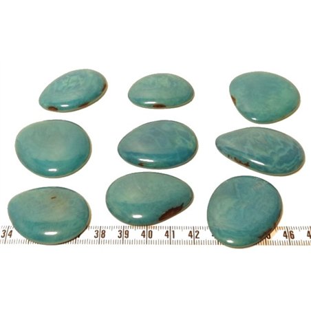Tagua lame  marbrée  moyenne bleu