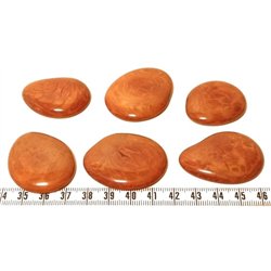 Tagua lame  marbrée  moyenne marron