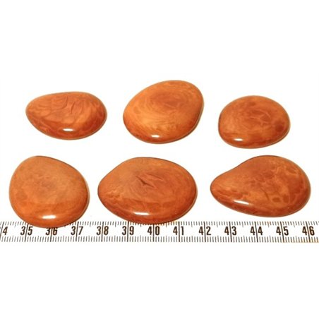 Tagua lame  marbrée  moyenne marron