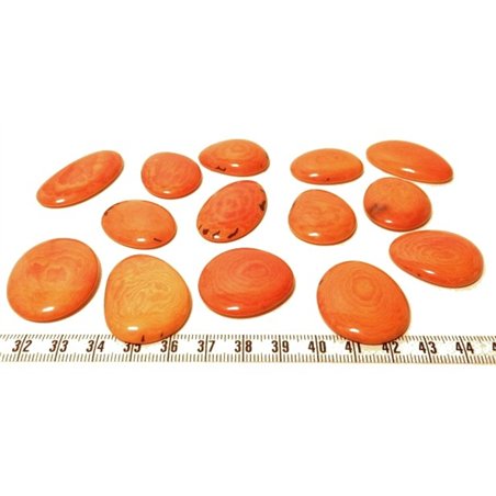 Tagua lame  marbrée  moyenne orange