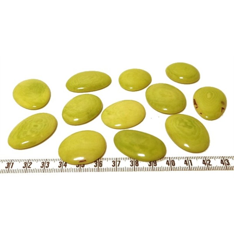 Tagua lame marbrée moyenne vert x1