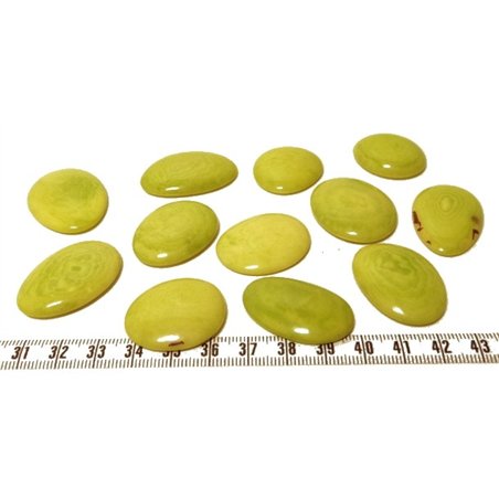 Tagua lame marbrée moyenne vert x1