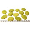 Tagua lame marbrée moyenne vert x1