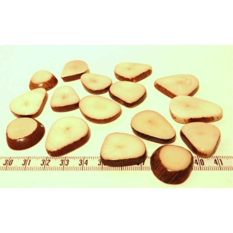 Tagua lame épaisse petite blanc x1