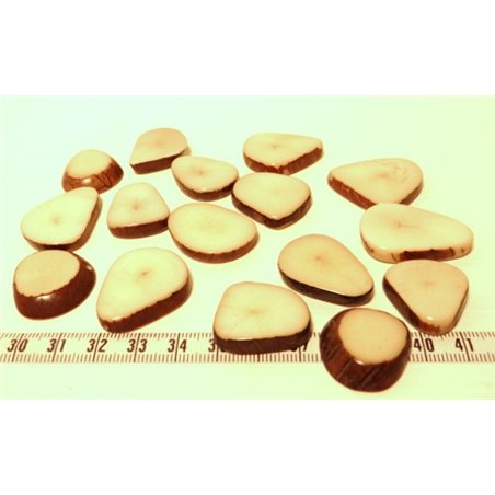 Tagua lame épaisse petite blanc x1