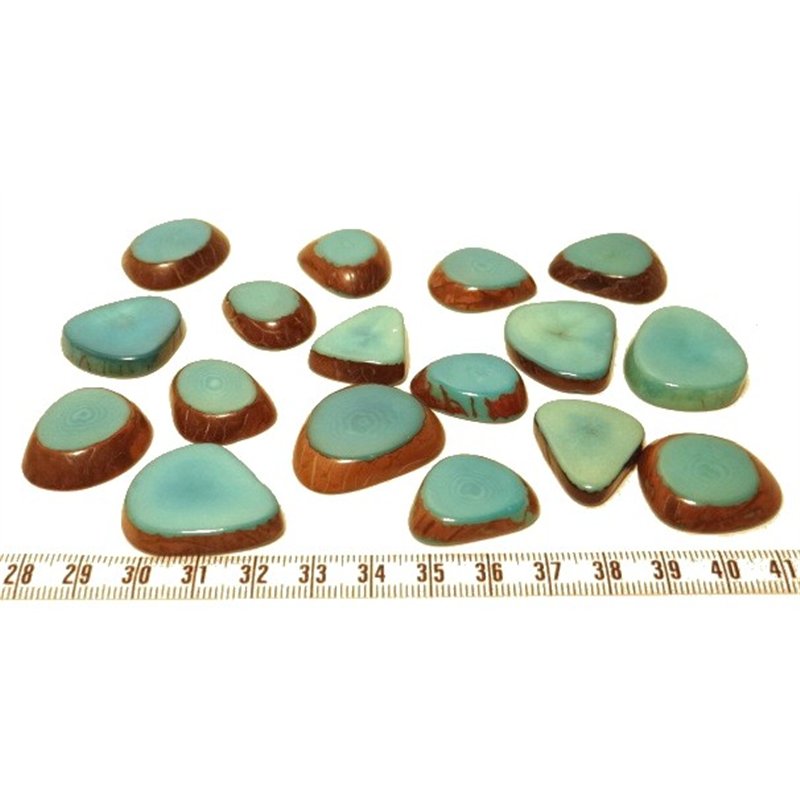 Tagua lame épaisse   petite bleu