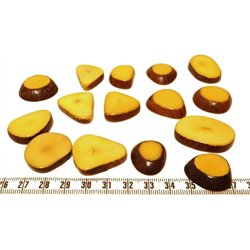 Tagua lame épaisse   petite jaune