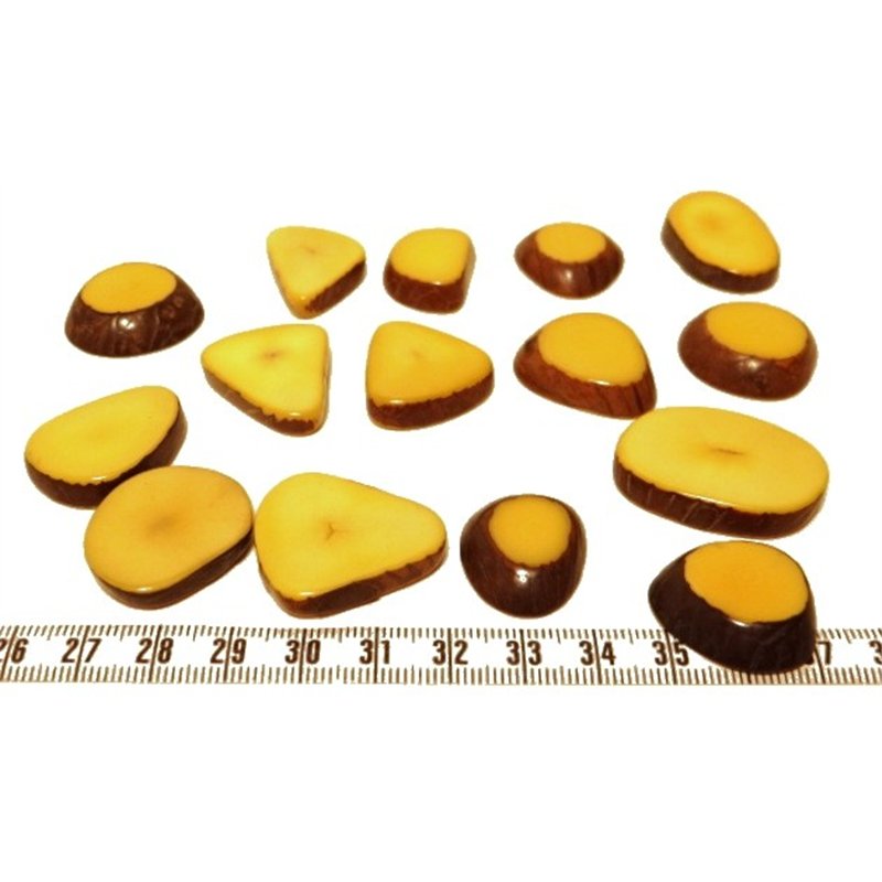 Tagua lame épaisse petite jaune x1