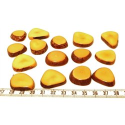 Tagua lame épaisse   petite orange