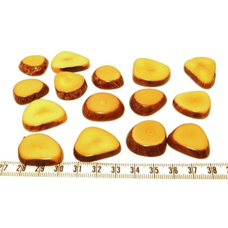 Tagua lame épaisse petite orange x1