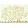 Tagua lentille 12mm blanc