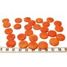 Tagua lentille 16mm orange