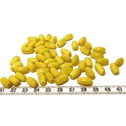 Tagua olive 12mm vert