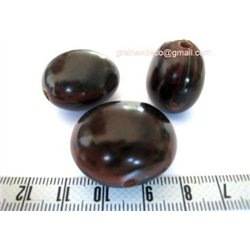 Oeil de bourrique marron foncé poli