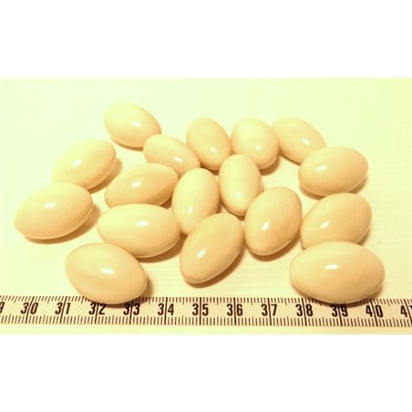 Tagua olive 26mm blanc