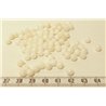 Tagua perle  5mm blanc
