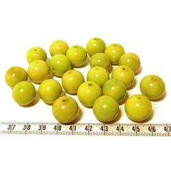 Tagua perle 15mm vert x1