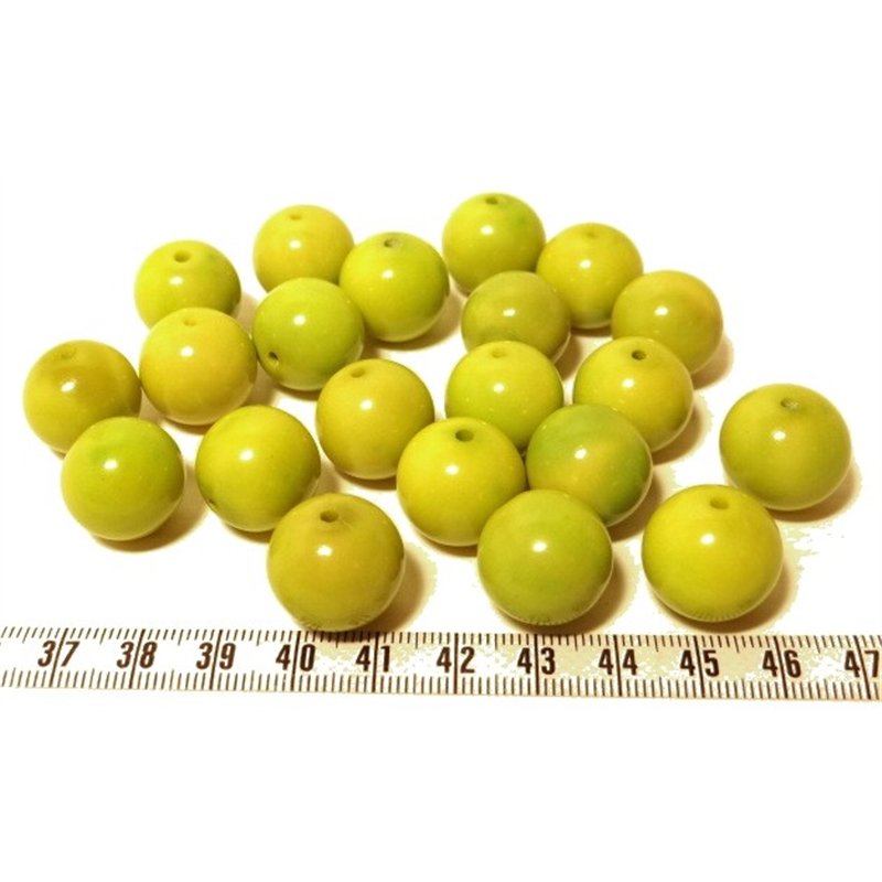Tagua perle 15mm vert x1