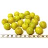 Tagua perle 15mm vert x1