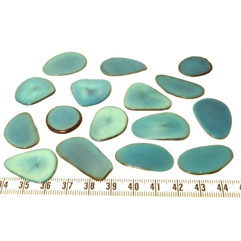 Tagua pétale bleu x1