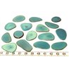 Tagua pétale bleu x1