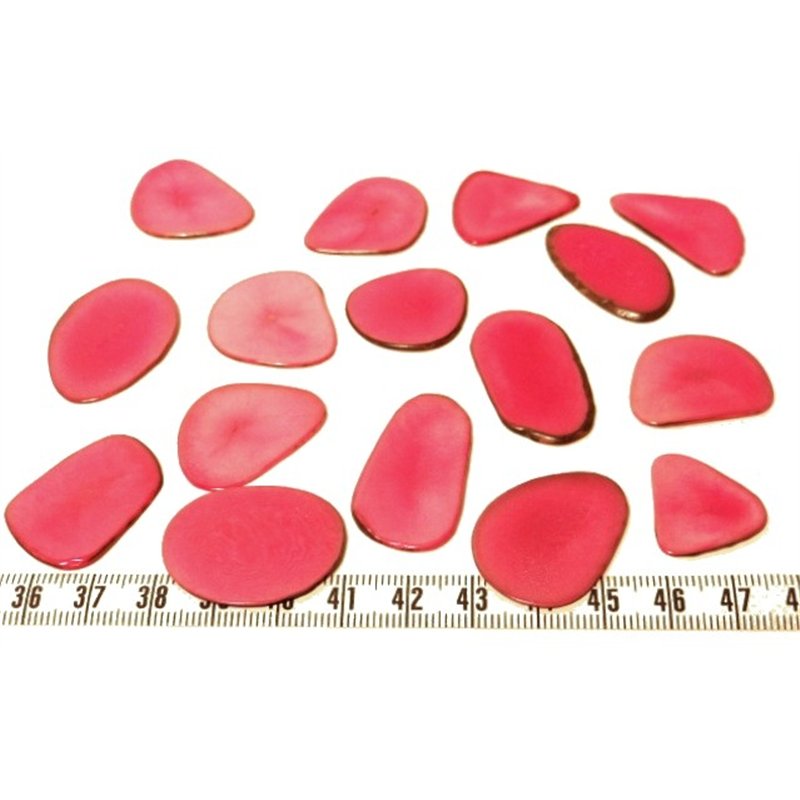 Tagua pétale rose x1