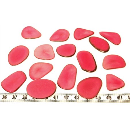 Tagua pétale rose x1