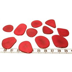 Tagua pétale  moyenne rouge