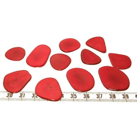 Tagua pétale  moyenne rouge