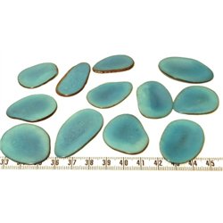 Tagua pétale grande bleu
