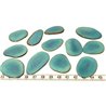 Tagua pétale grande bleu