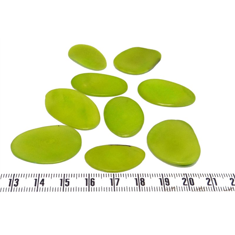 Tagua pétale grande vert