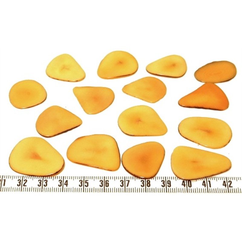Tagua pétale grande orange