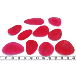 Tagua pétale grande rouge