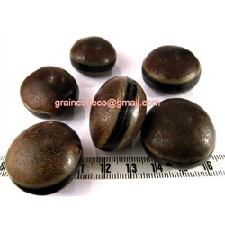 Oeil de boeuf gris