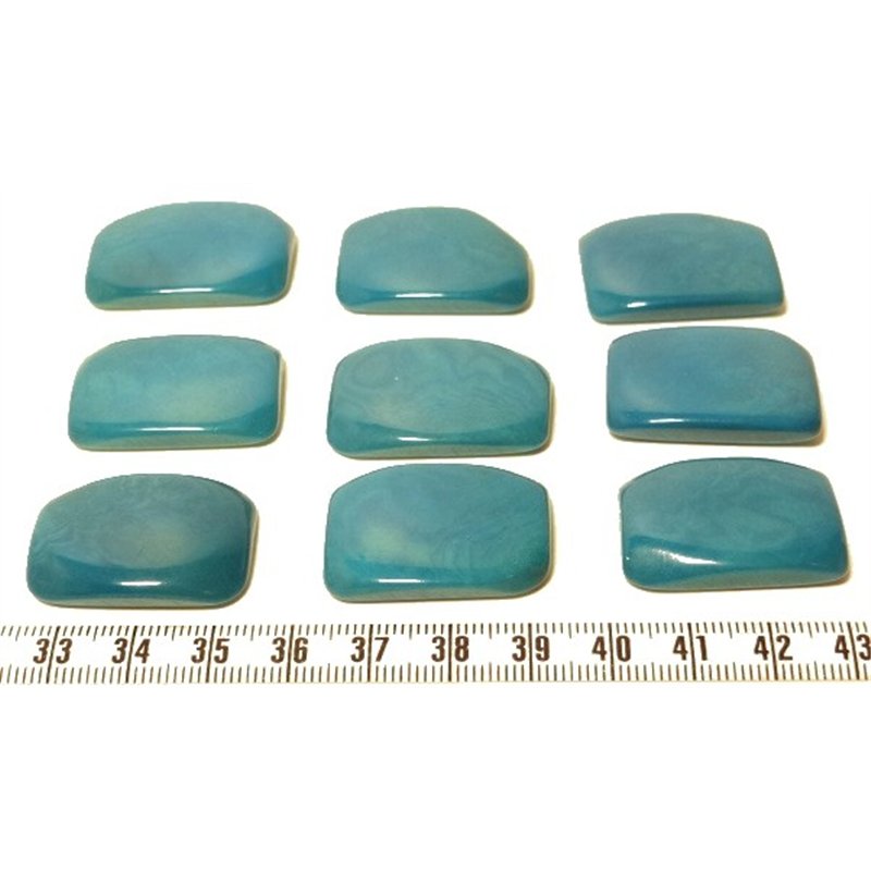 Tagua plaque bleu