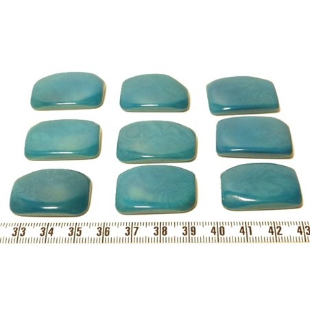 Tagua plaque bleu