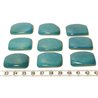 Tagua plaque bleu