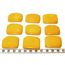 Tagua plaque jaune