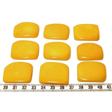 Tagua plaque jaune x1