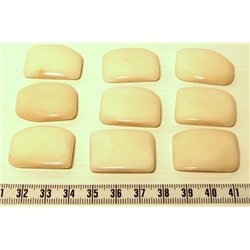 Tagua plaque blanc