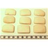 Tagua plaque blanc