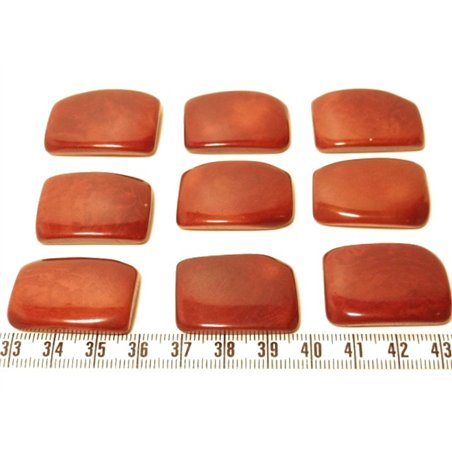 Tagua plaque marron x1