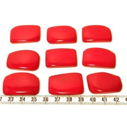 Tagua plaque rouge
